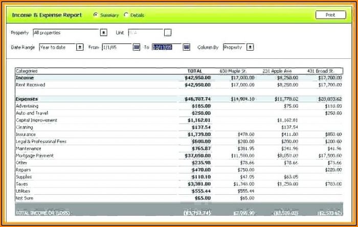 Income And Expense Report Excel Template Template 2 : Resume Examples