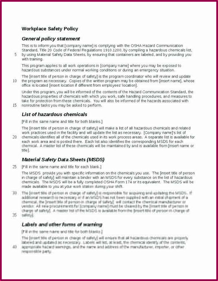 Osha Health And Safety Plan Template Template 1 Resume Examples 