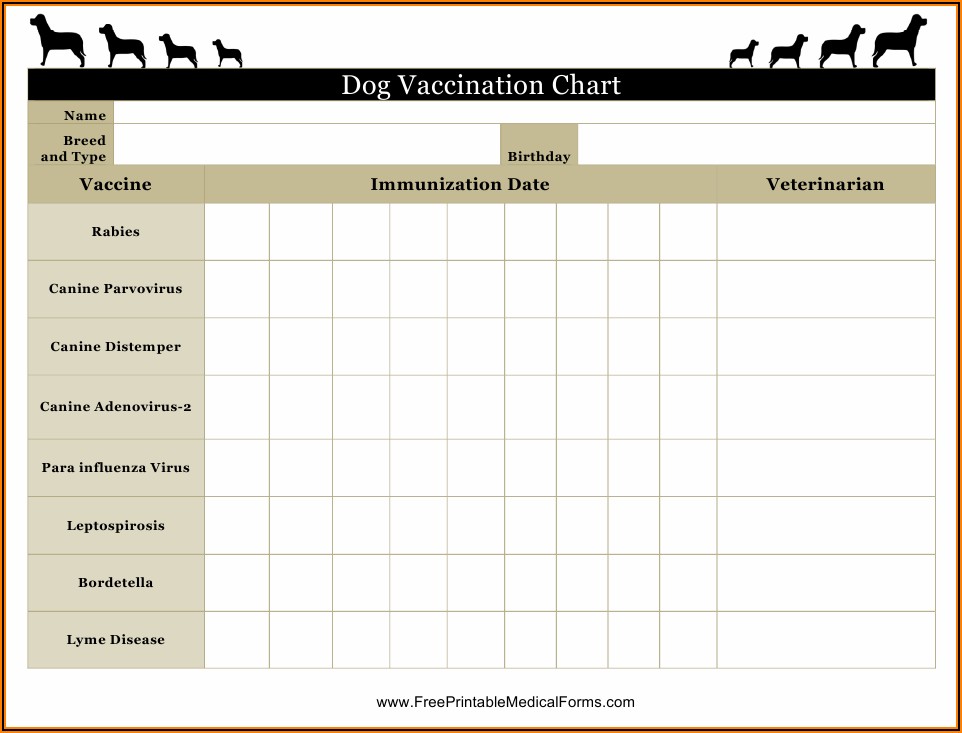 Dog Shot Record Chart Printable Template 2 Resume Examples wRYPB5R324