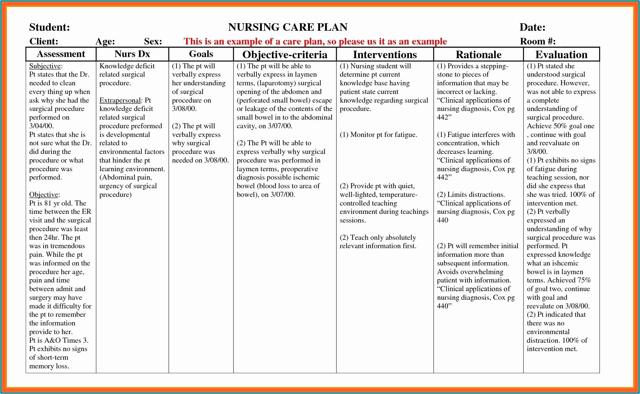 Dementia Nursing Care Plan Sample