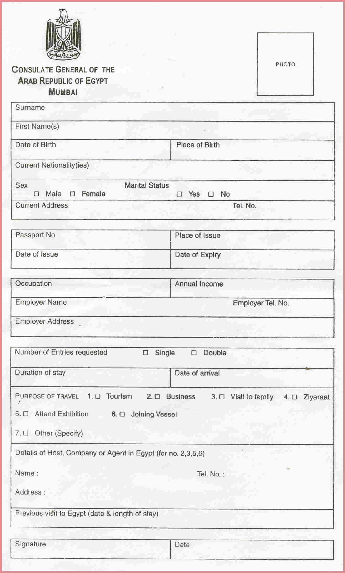 india tourist visa application sample