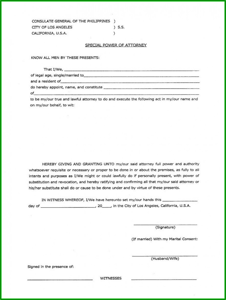 Power Of Attorney Template South Africa Word Template 1 Resume 